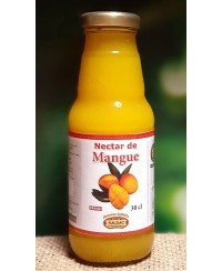 Jus de Mangue BIO - 30cl