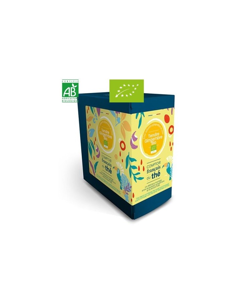 Tendre Gingembre Bio - 20 sachets