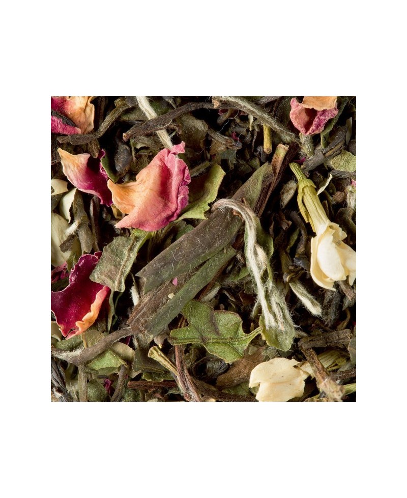Bali Blanc