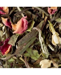 Bali Blanc
