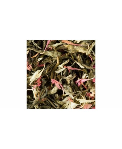 Christmas Tea Blanc