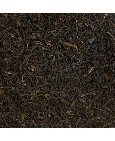 Darjeeling Selim Bio