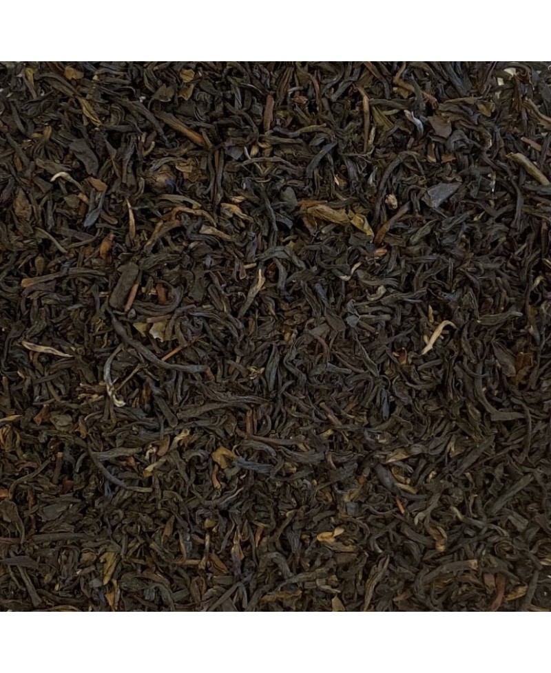 Darjeeling Selim Bio