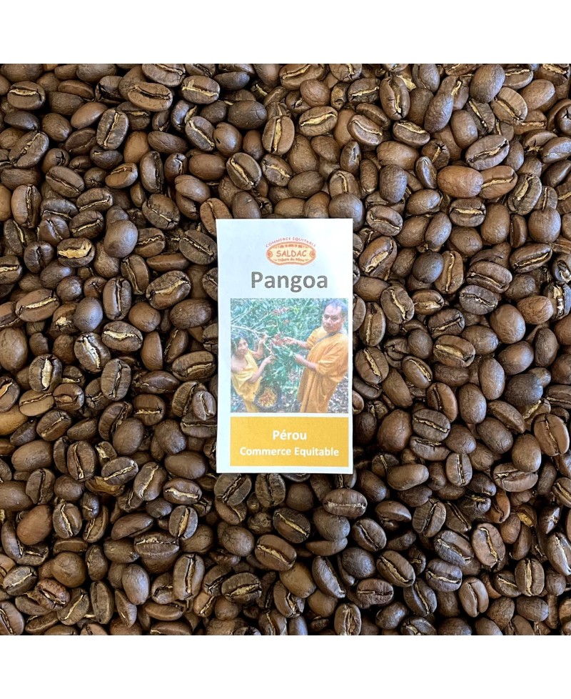Pangoa Gardien de la Forêt - Pérou BIO