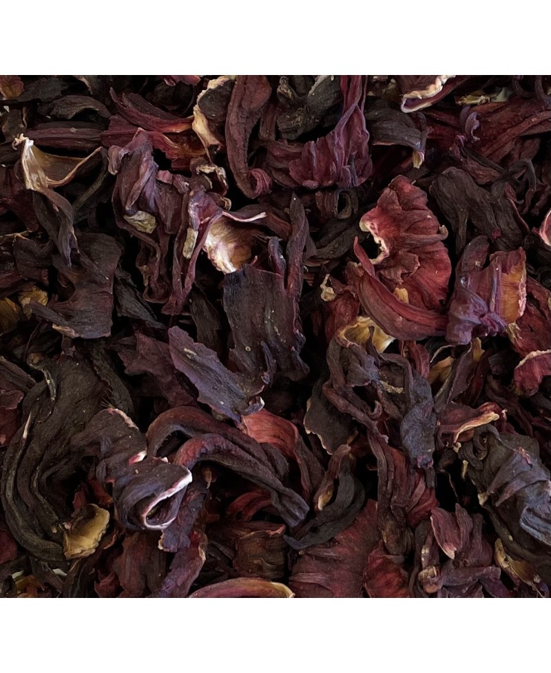 Hibiscus Hibiscus
