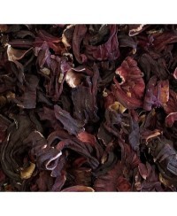 Hibiscus