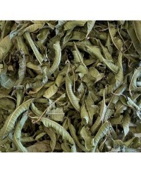 Verveine